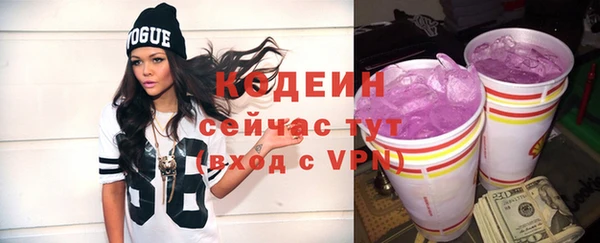 ПСИЛОЦИБИНОВЫЕ ГРИБЫ Михайлов
