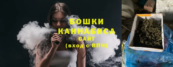 ПСИЛОЦИБИНОВЫЕ ГРИБЫ Михайлов