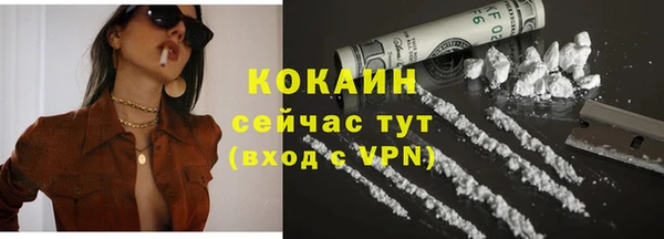 ПСИЛОЦИБИНОВЫЕ ГРИБЫ Михайлов