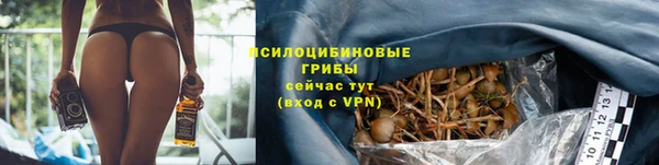 мдпв Надым