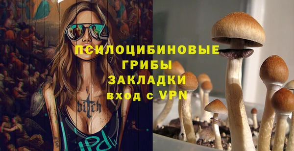 Альфа ПВП Михайловск