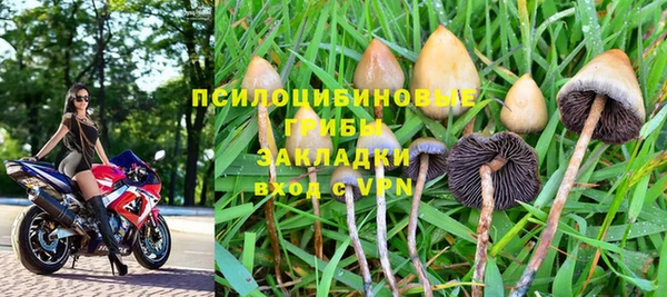ПСИЛОЦИБИНОВЫЕ ГРИБЫ Михайлов
