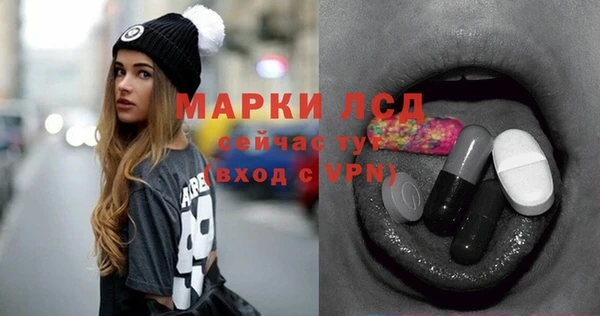 ПСИЛОЦИБИНОВЫЕ ГРИБЫ Михайлов