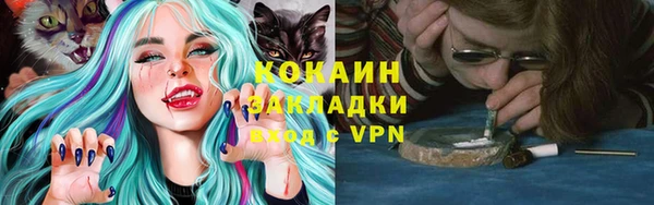 ПСИЛОЦИБИНОВЫЕ ГРИБЫ Михайлов