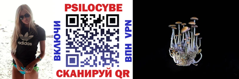 Галлюциногенные грибы Psilocybine cubensis Купить закладки Новоалтайск